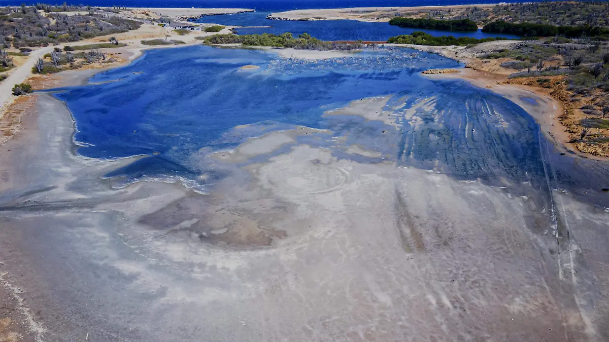 AFP__20260127__94789Z9__v1__HighRes__NetherlandsOverseasBonaireJucticeCourtEnvironme