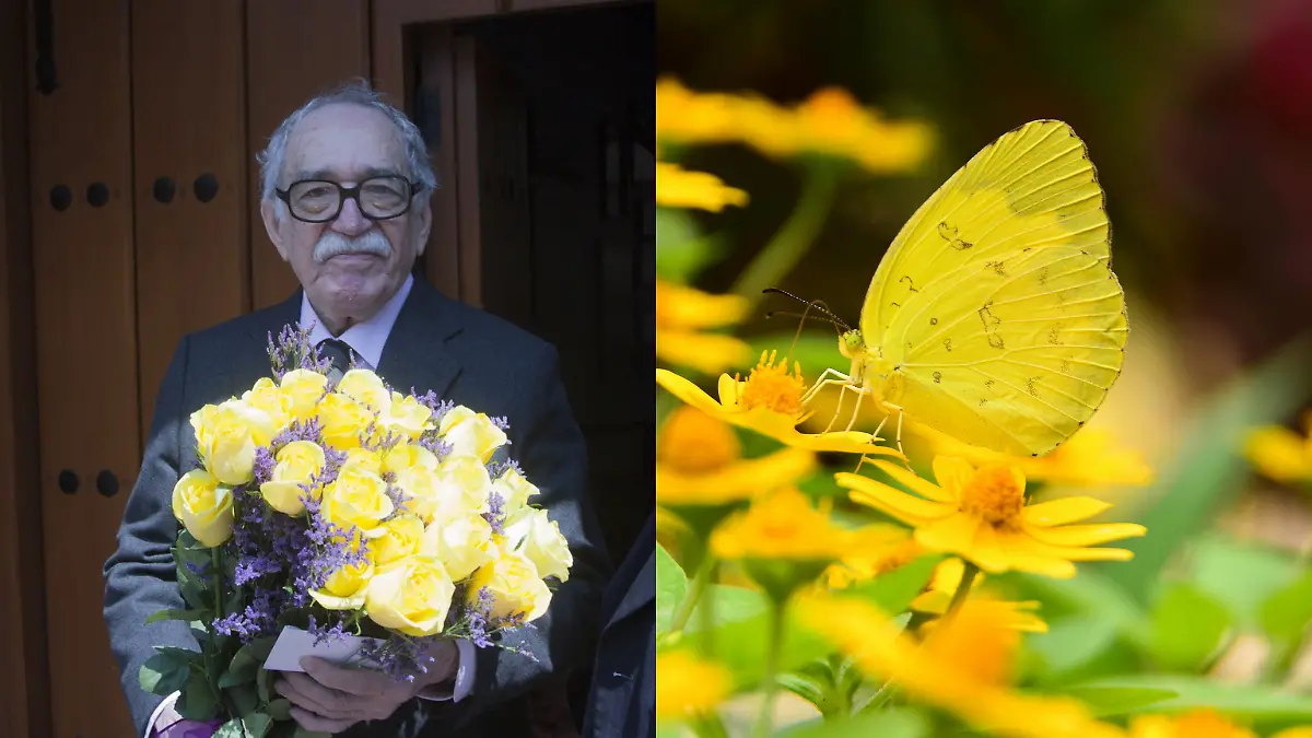 Diseño sin título