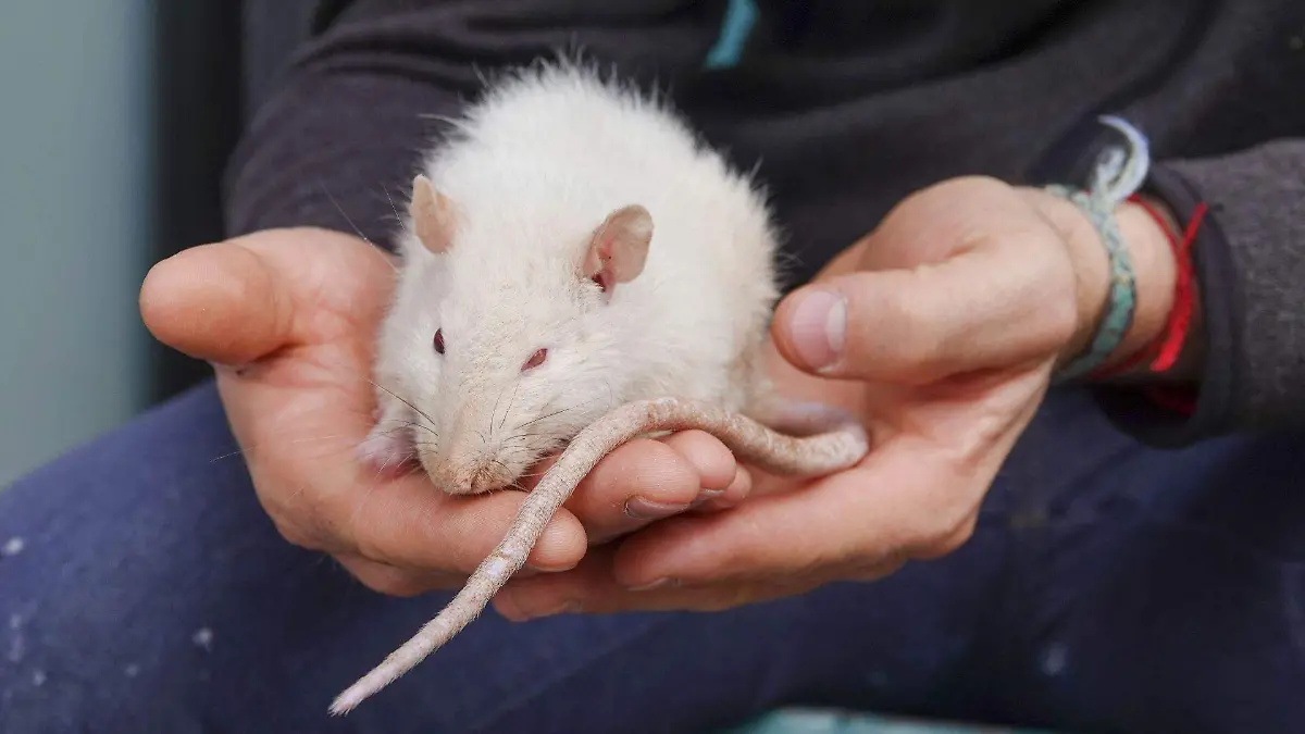 1031628_Aragón Vida Cotidiana_web