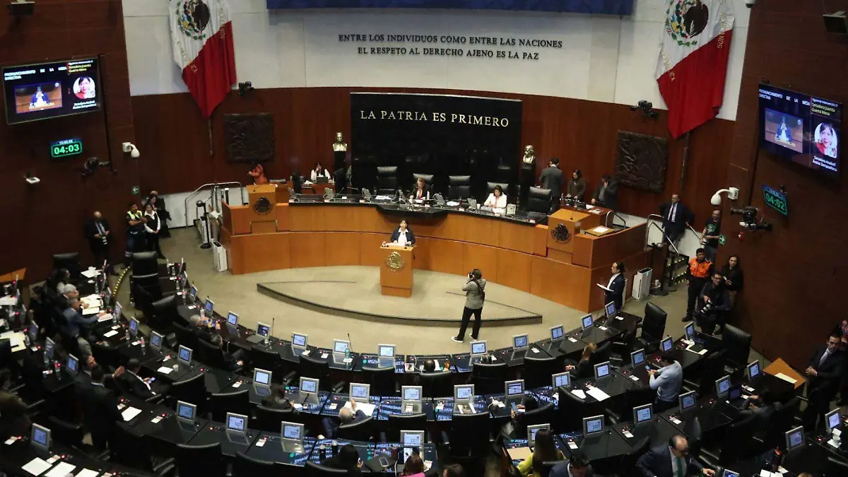 1055306_Sesión Plenaria Senado_web