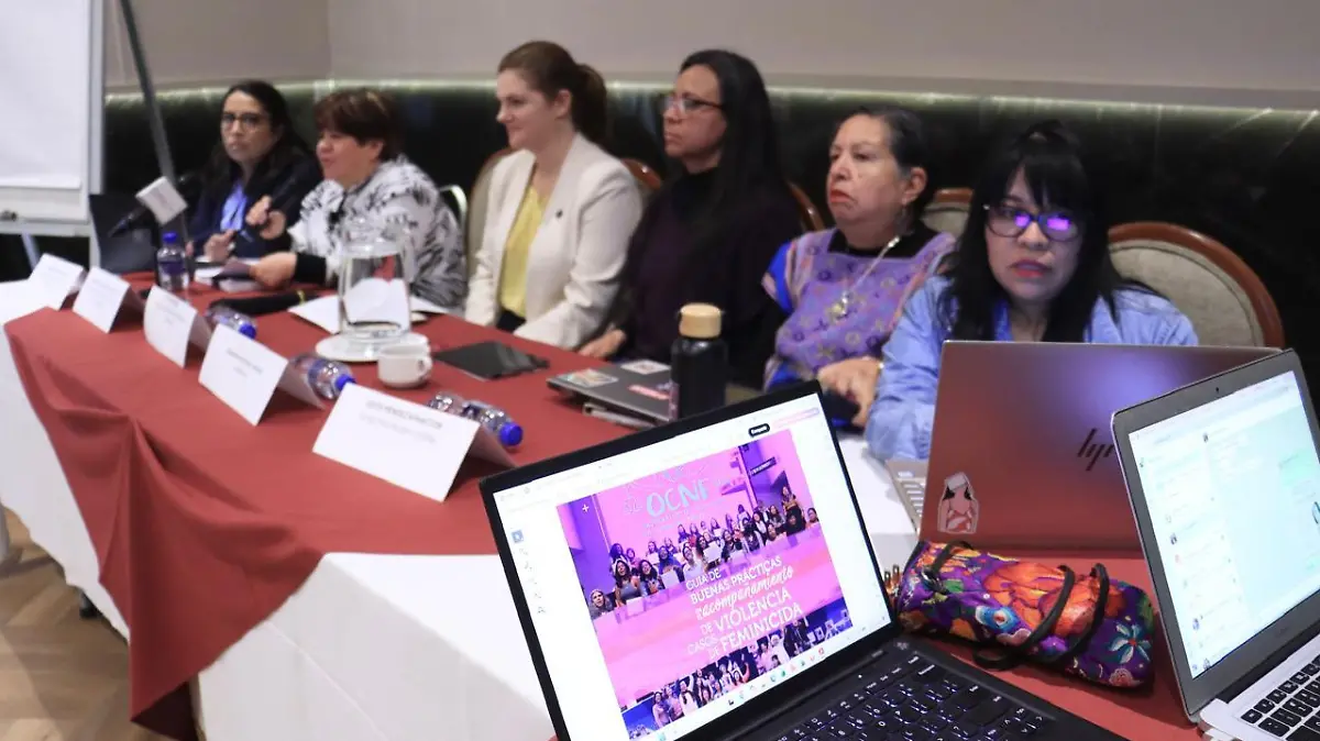 Observatorio de feminicidios. adrian vazquez (9)