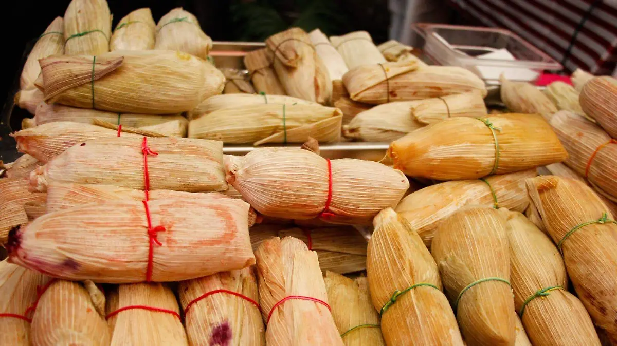 WhatsApp Image 2026-01-29 at 3.16.44 PM