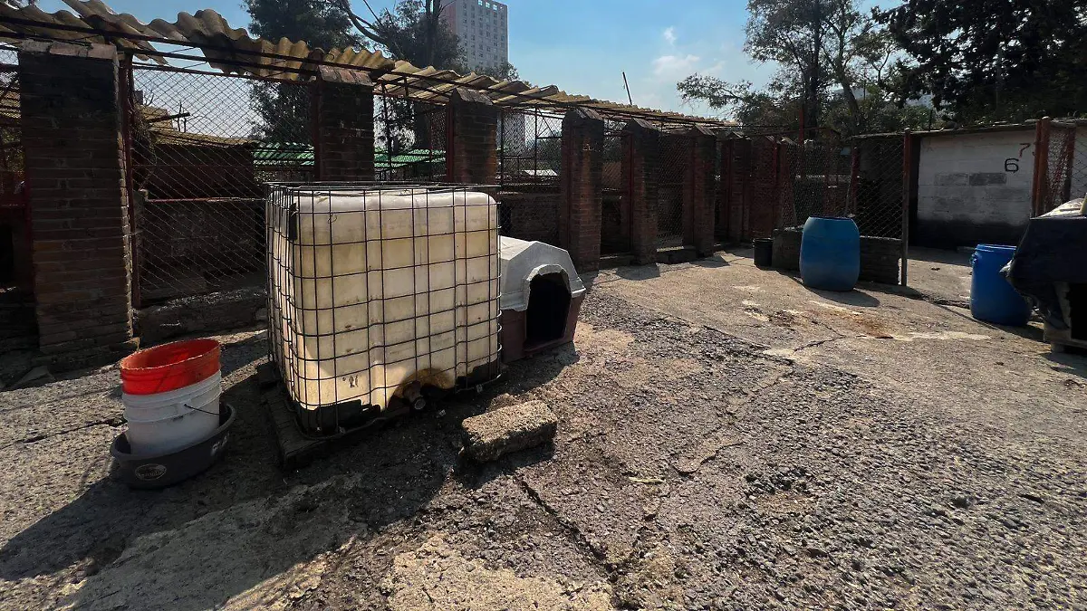 c8030fdf-864f-4821-a24e-4ab496e48e04