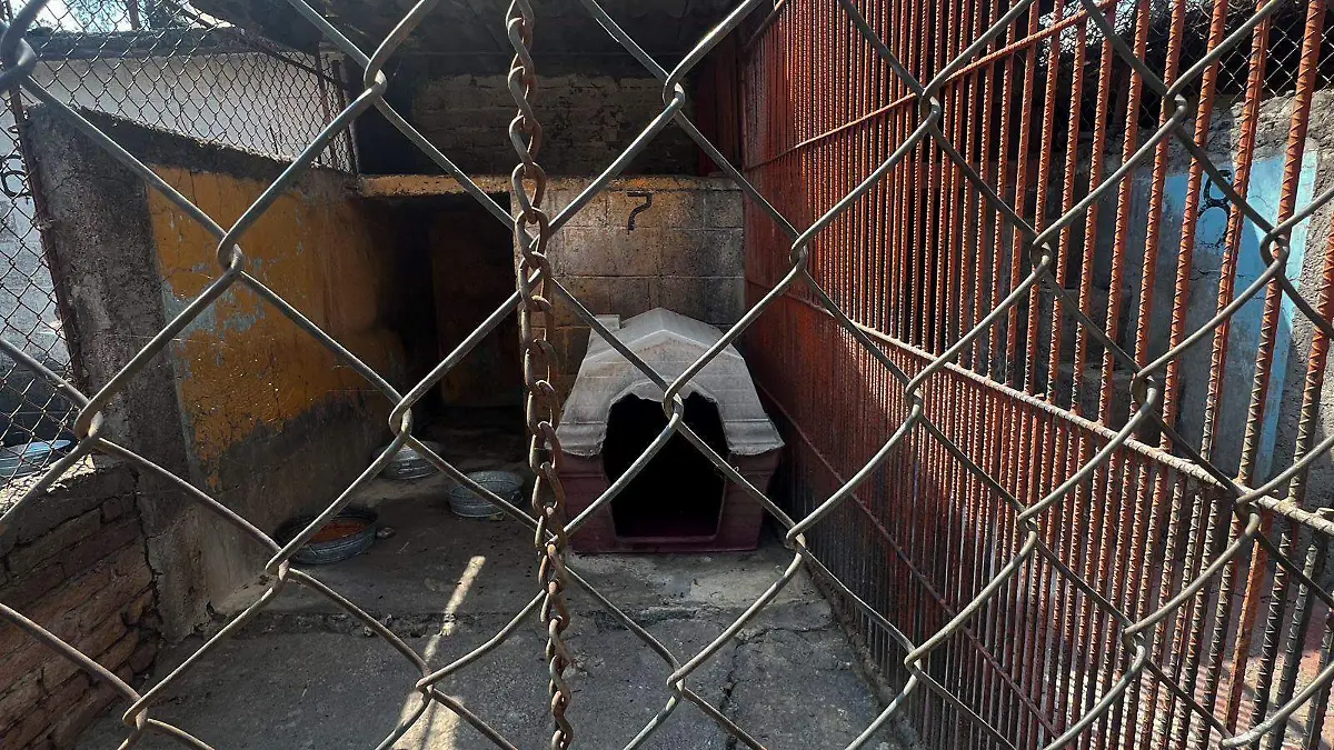 WhatsApp Image 2026-01-30 at 2.44.46 PM