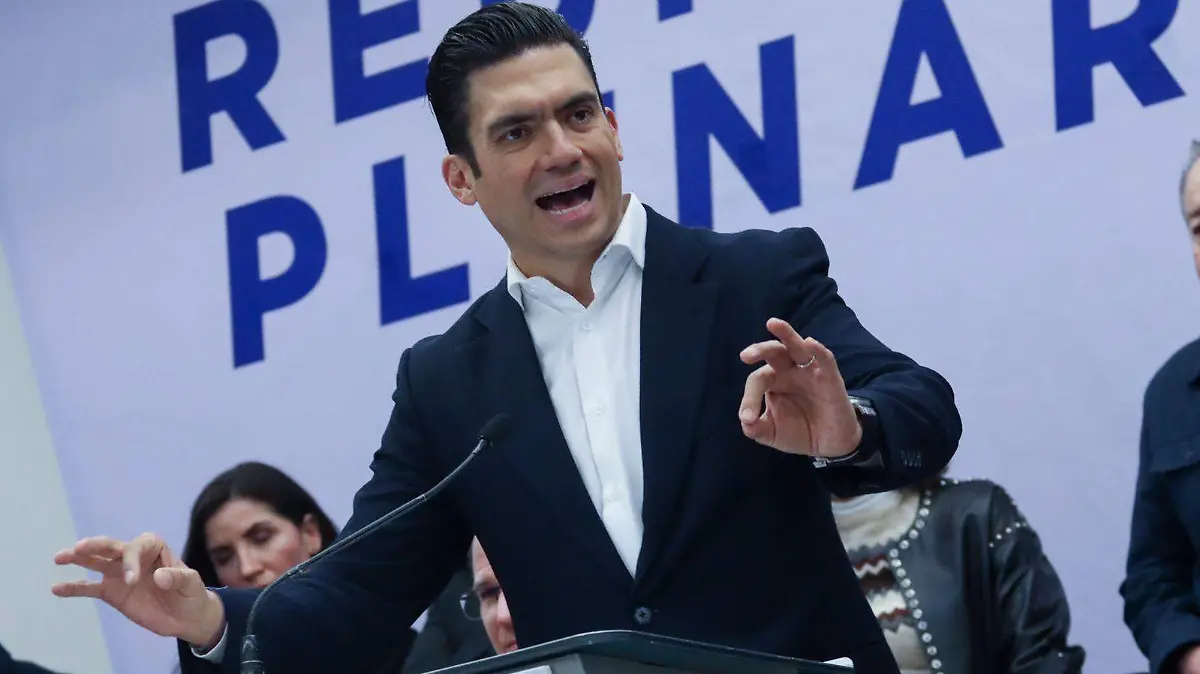 PLENARIA PAN ivonne rodriguez (2)