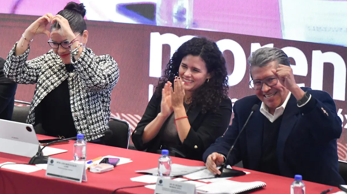 1066898_Luisa María Plenaria Morena Diputados_impreso