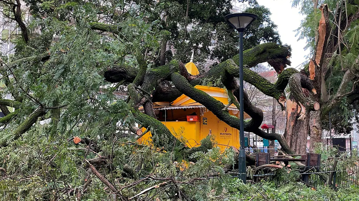 AFP__20260128__94BX886__v2__HighRes__TopshotPortugalWeatherStorm