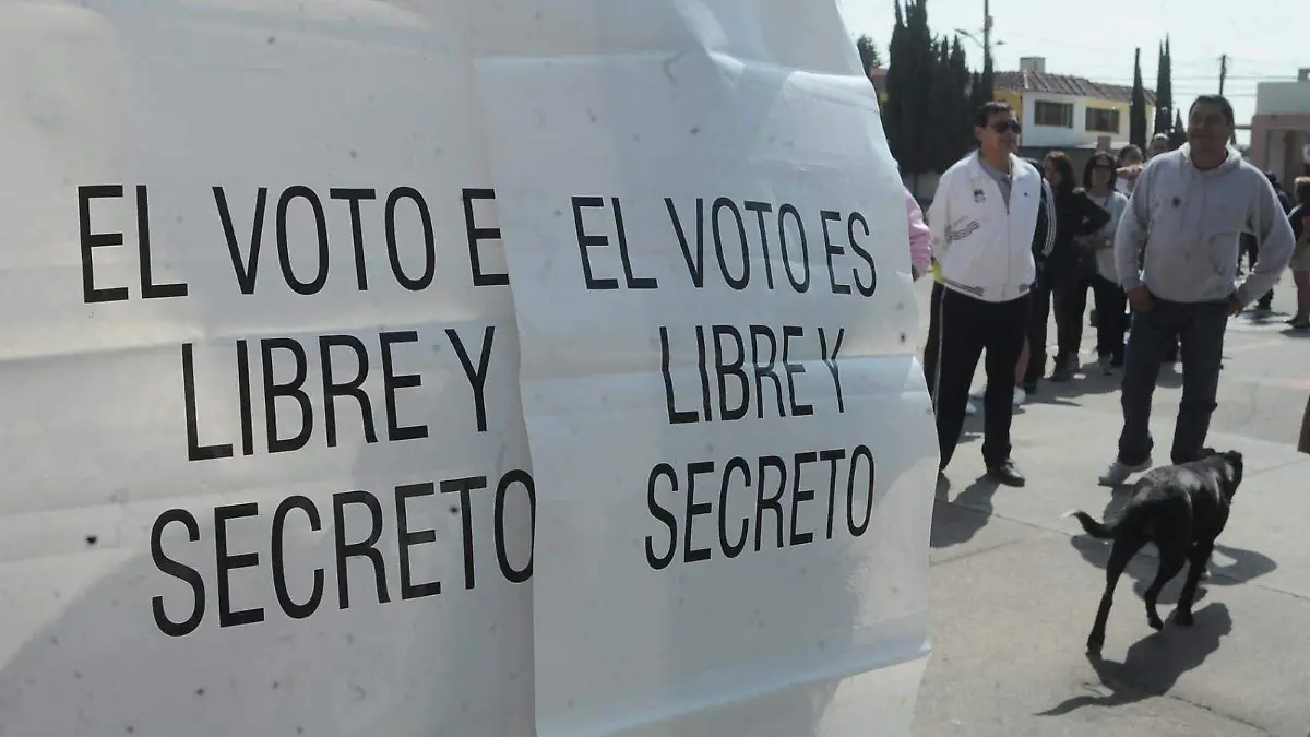 WhatsApp Image 2026-02-03 at 12.50.21 PM