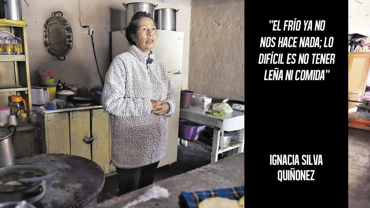 Indeleble La Rosilla 3