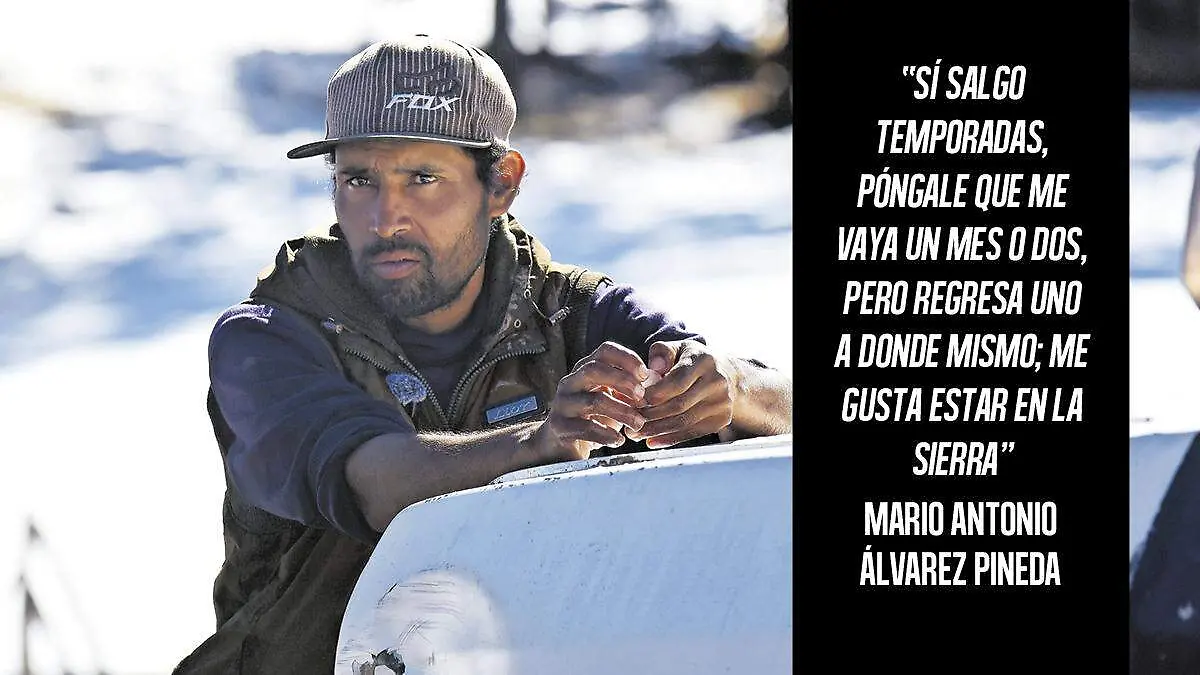 Indeleble La Rosilla 5