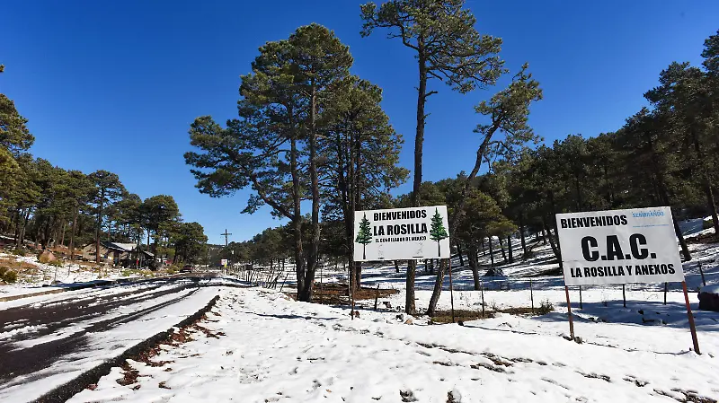 La Rosilla 2