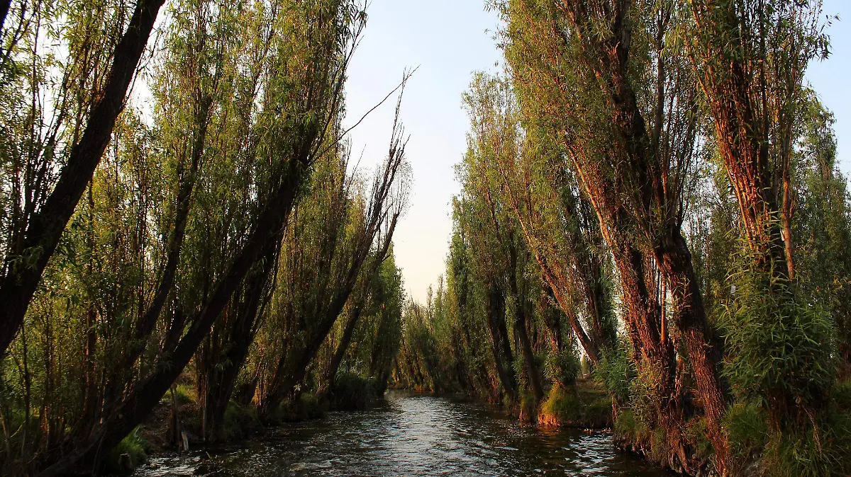 6798422865_8c818722b2_o