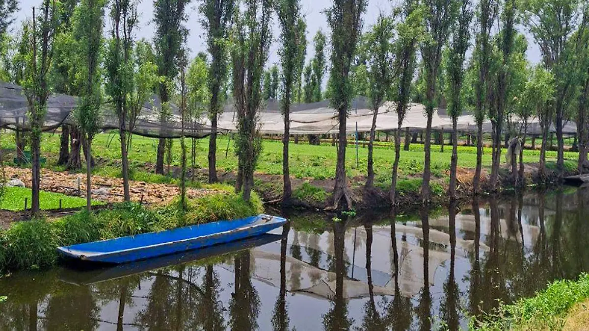 Chinampas 