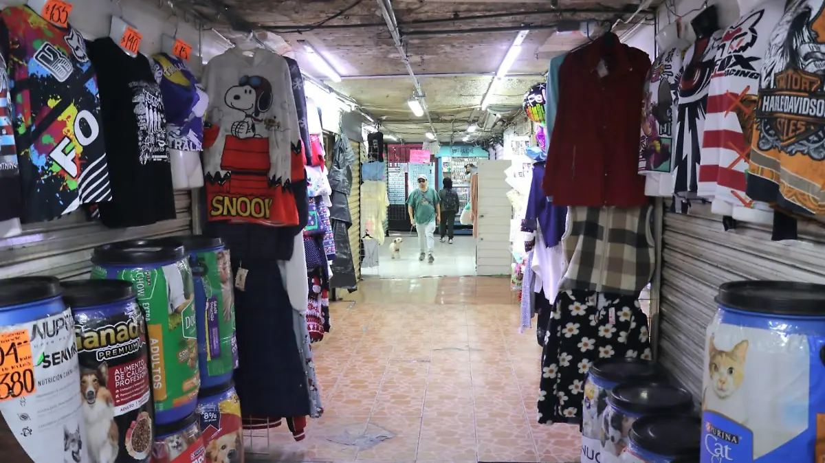 BAJO PUENTES TLALPAN. OMAR FLORES (20)