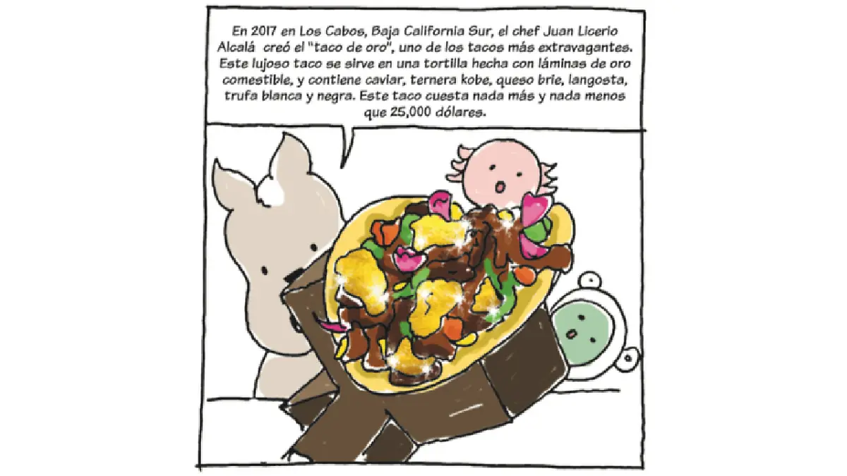 Tacos pedacitos de historia 12.png