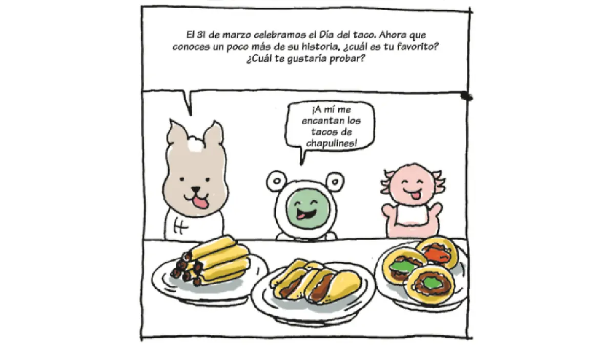 Tacos pedacitos de historia 13.png