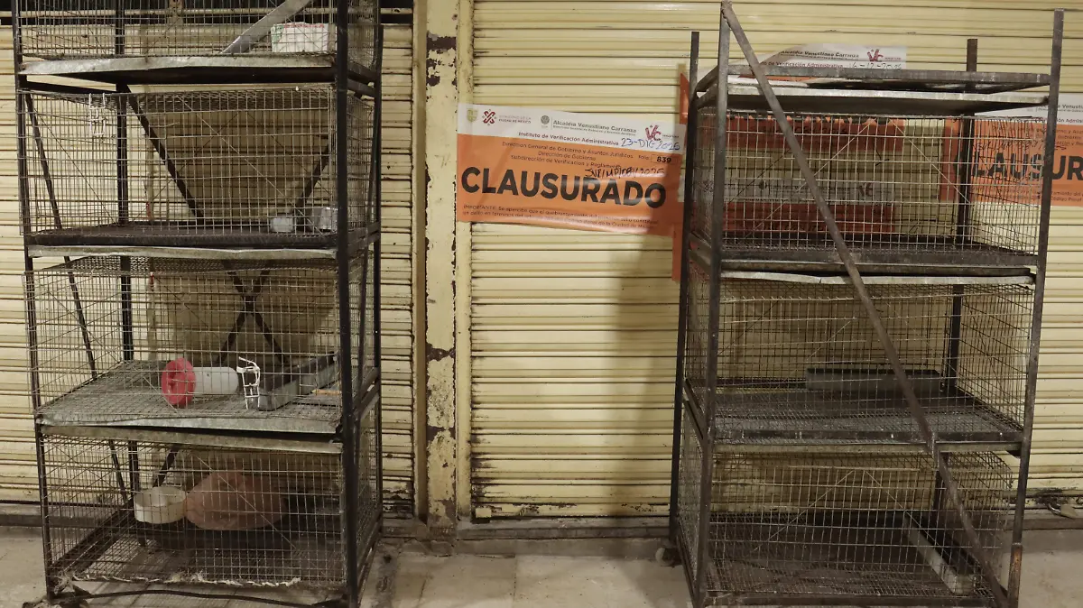 Mercado de Sonora-03