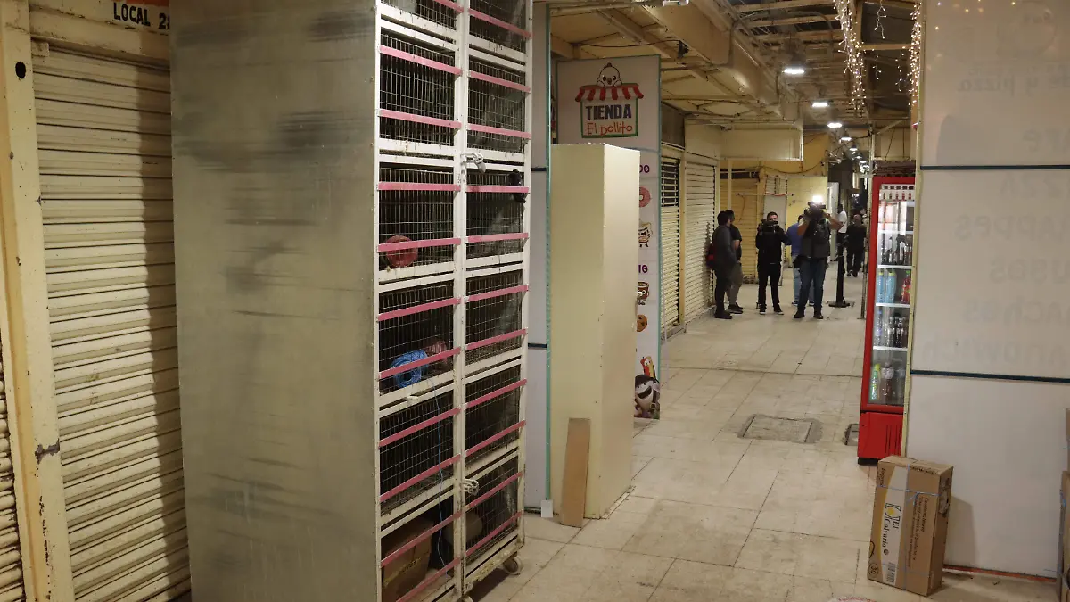 Mercado de Sonora-05