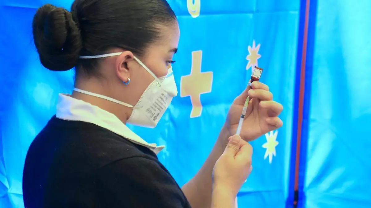 WhatsApp Image 2026-02-08 at 2.23.32 PM