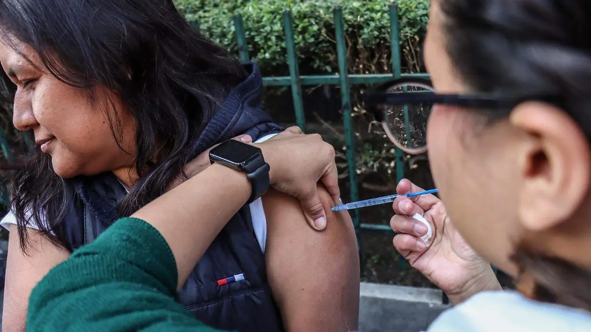 WhatsApp Image 2026-01-14 at 2.08.40 PM