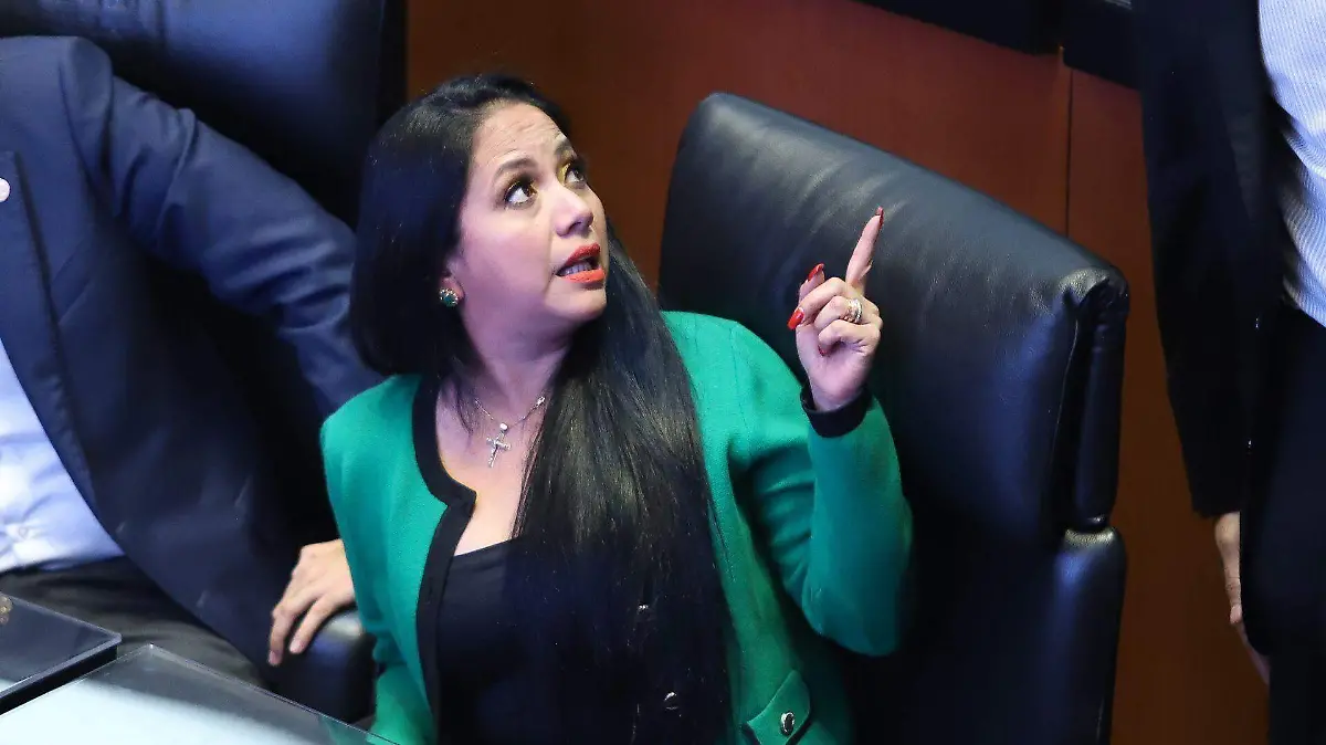 1067441_Sesión Senado_web