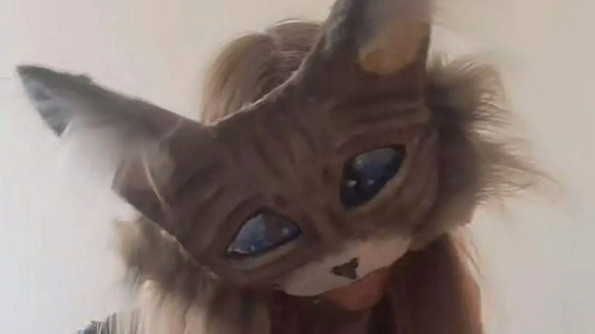 WhatsApp Image 2026-02-10 at 2.16.40 PM