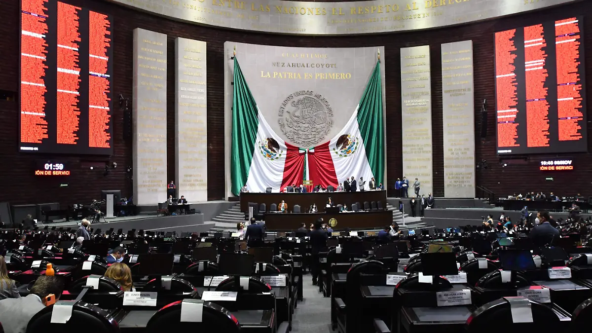 Sesión en Cámara de Diputados_LOVERA (2)