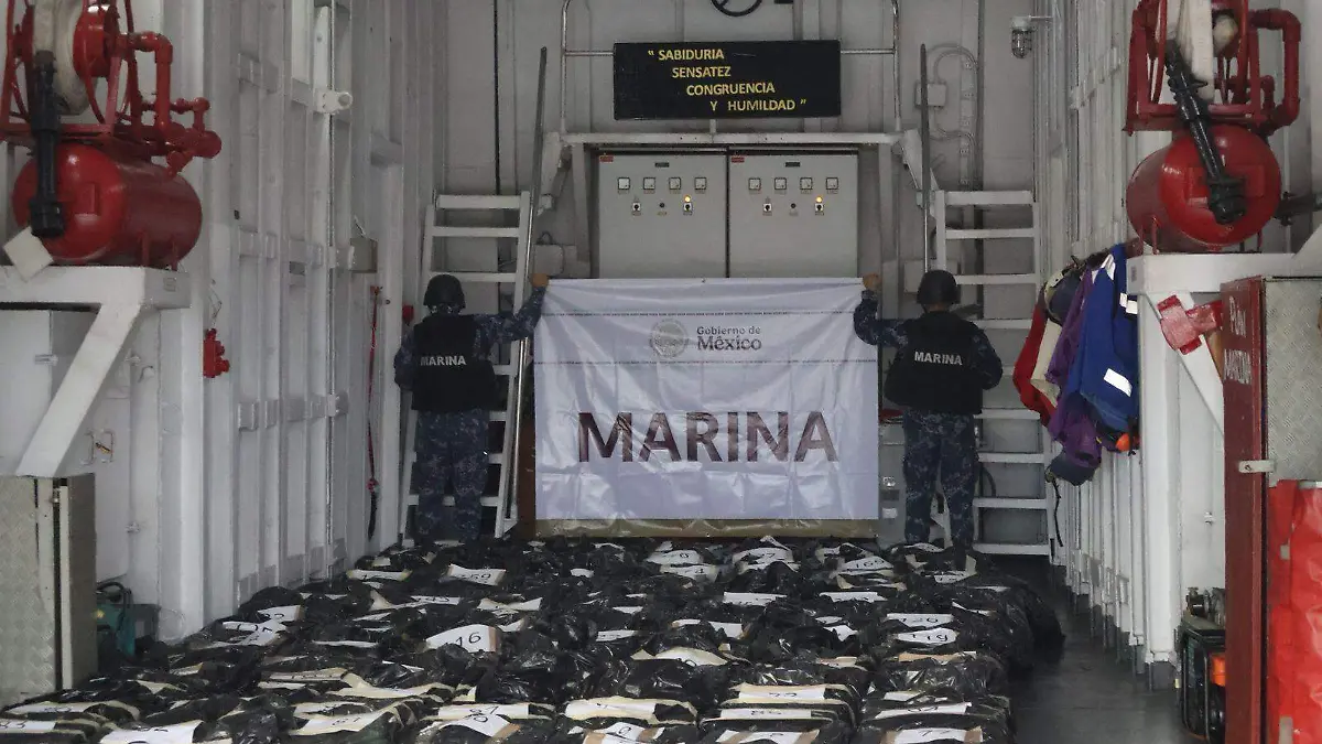 WhatsApp Image 2026-02-11 at 16.02.36