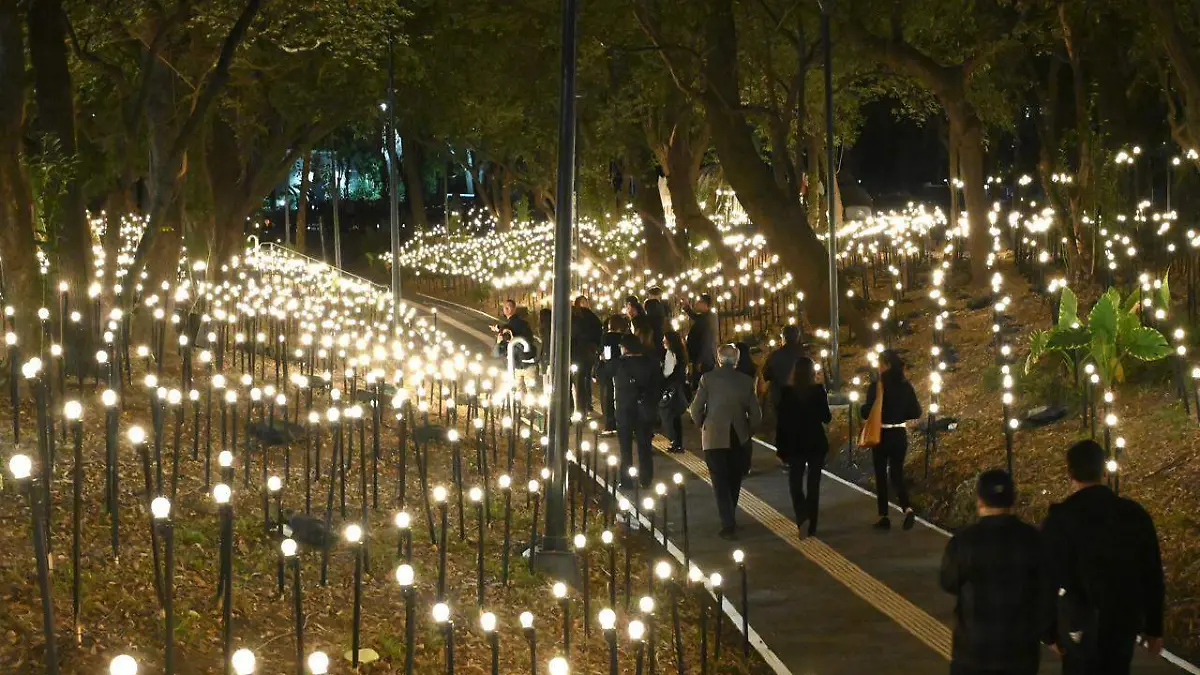 La instalación de Lozano-Hemmer estará disponible hasta abril