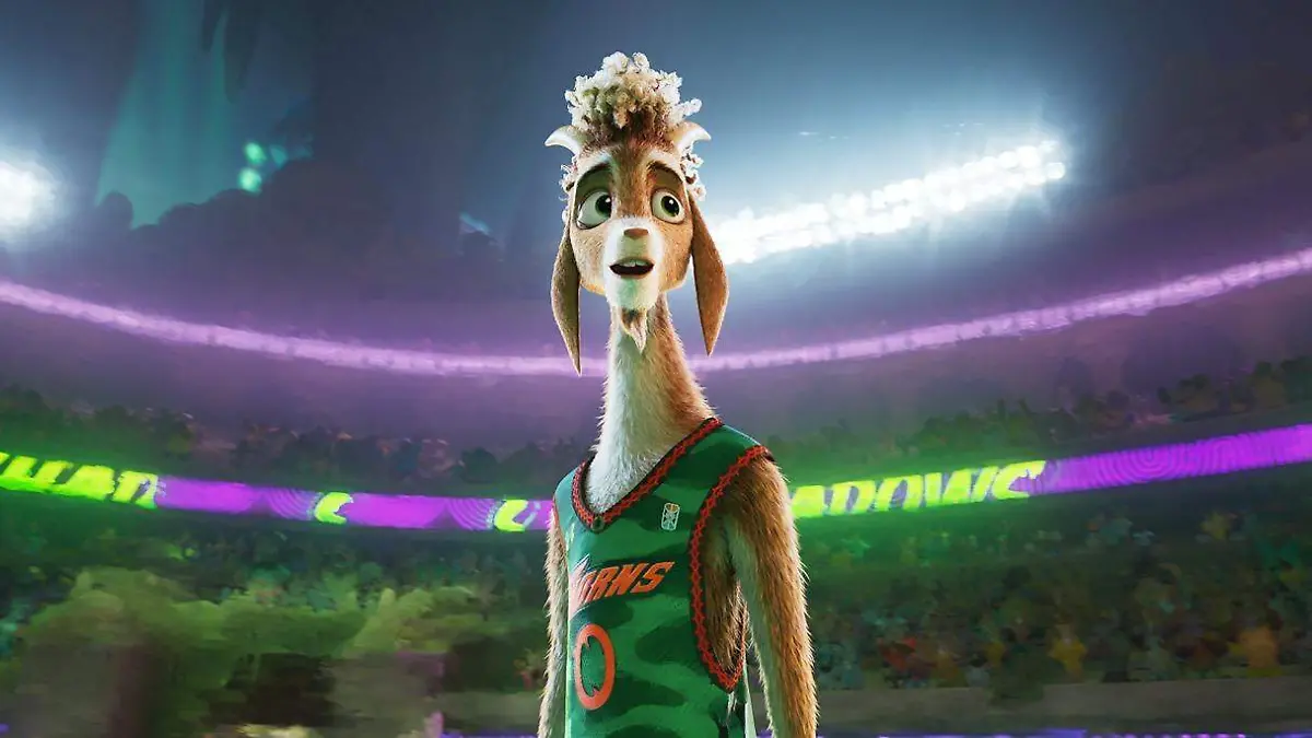 WhatsApp Image 2026-02-11 at 5.17.11 PM