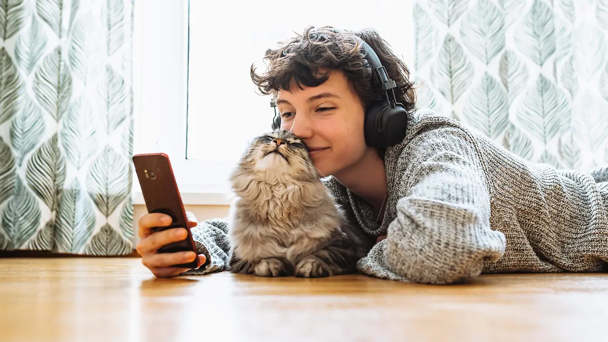 Día de San Valentín