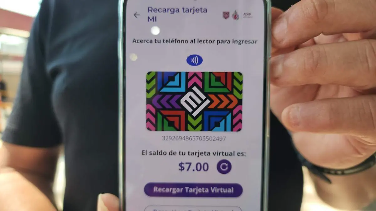 WhatsApp Image 2026-02-12 at 16.31.12