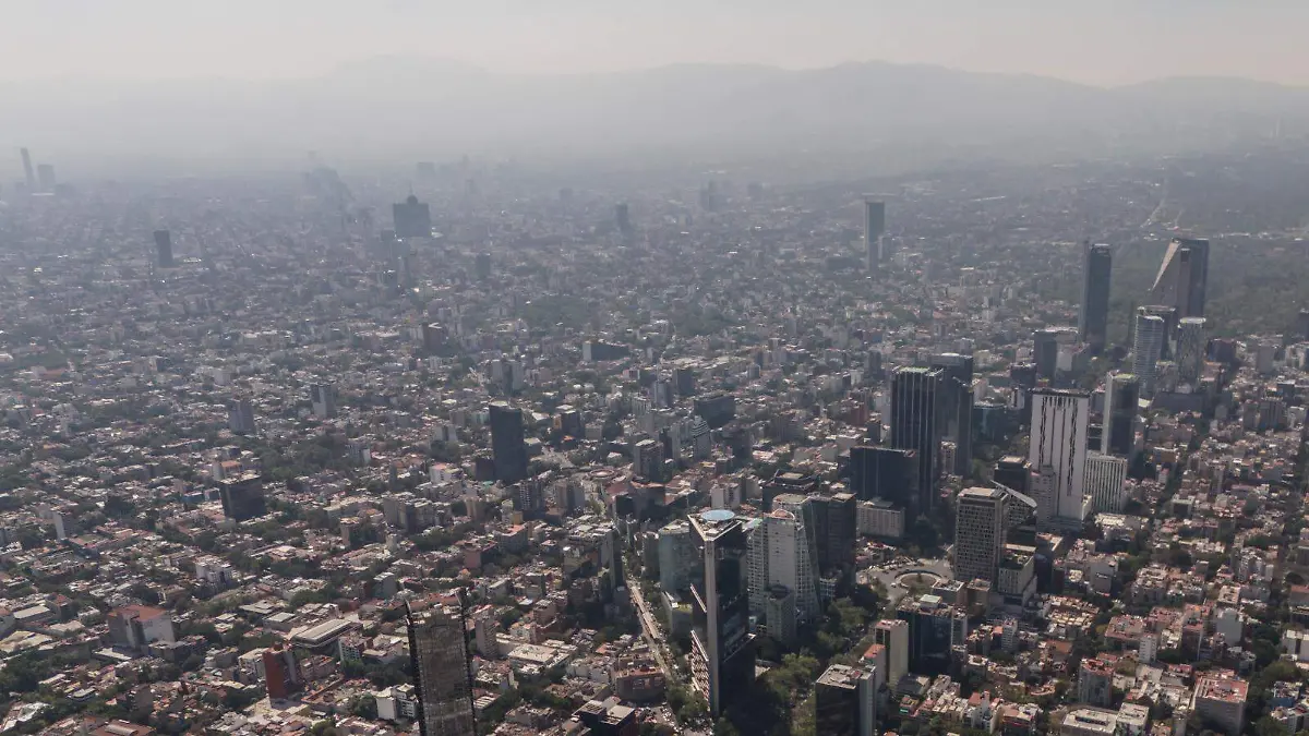 WhatsApp Image 2026-02-13 at 2.07.53 PM