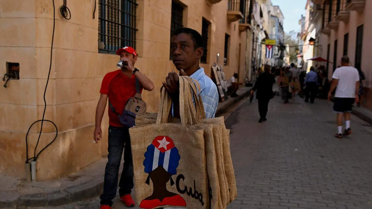 WhatsApp Image 2026-02-14 at 12.04.57 PM