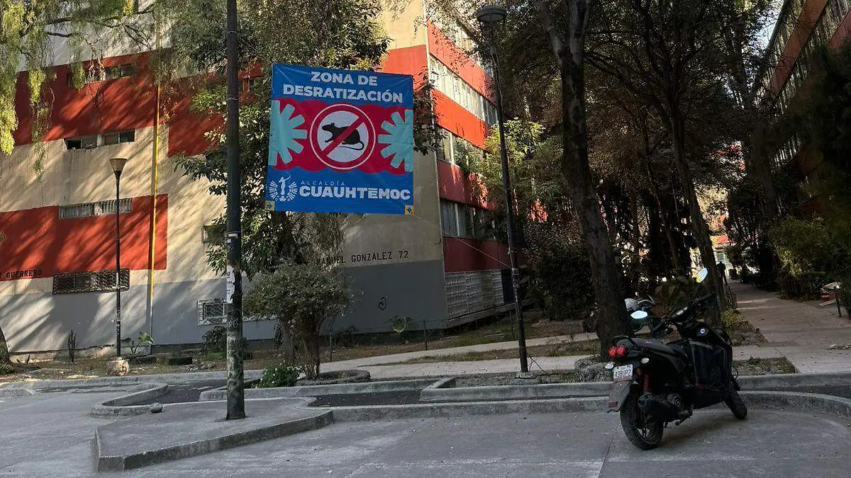 PLAGA DE RATAS EN TLATELOLCO dana estrada