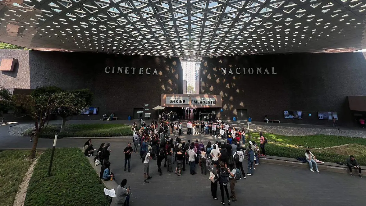 WhatsApp Image 2026-02-14 at 2.58.58 PM