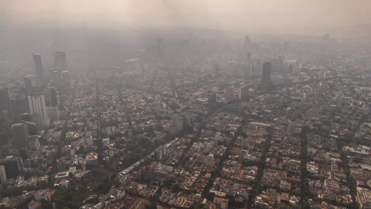 WhatsApp Image 2026-02-14 at 5.06.18 PM