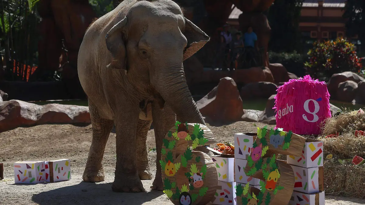 7ad212c7bdcc19733c59c1e57c044623ee5c770ew