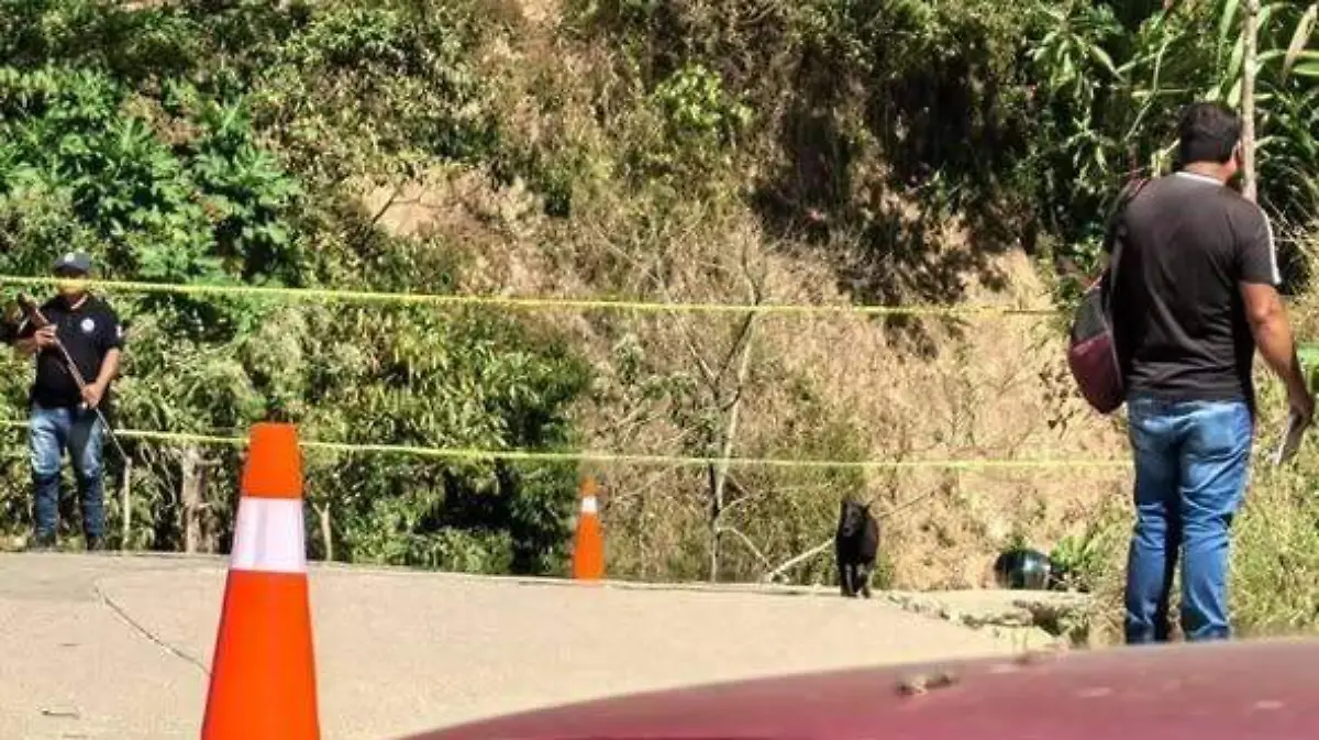 WhatsApp Image 2026-02-16 at 1.31.32 PM