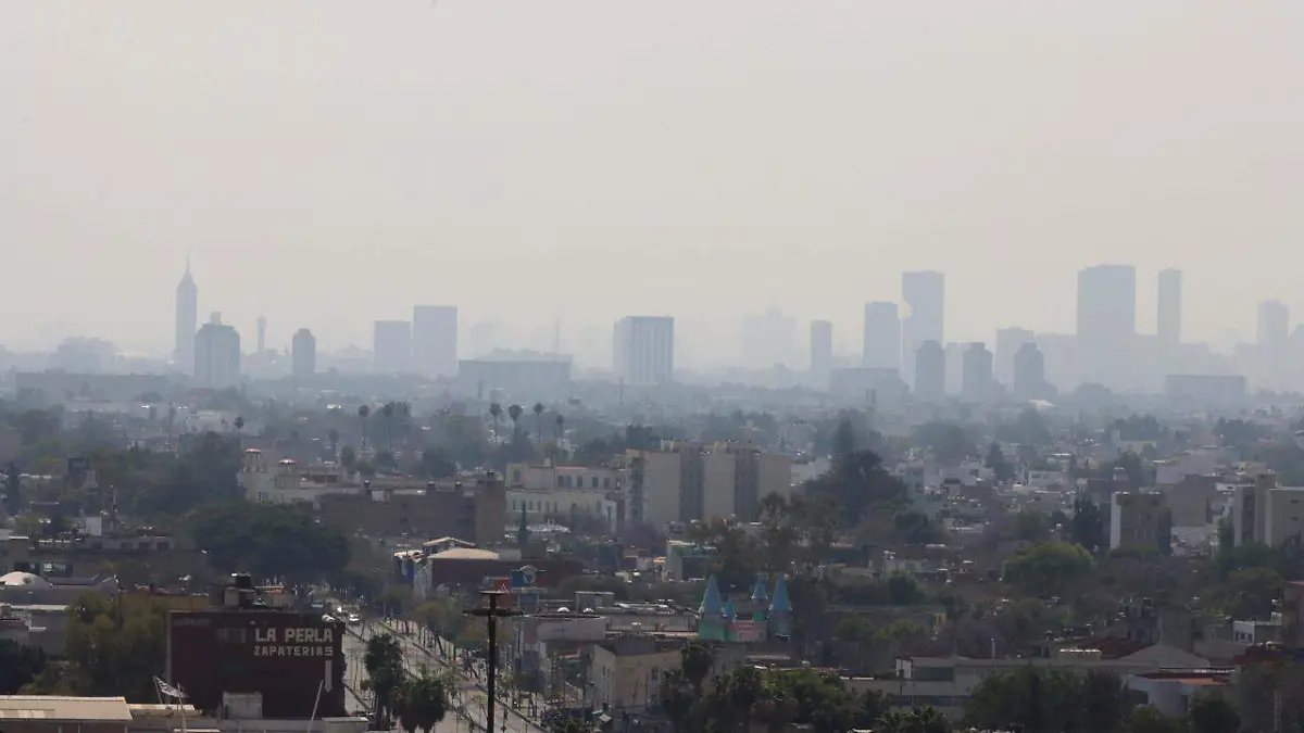 WhatsApp Image 2026-02-16 at 1.54.12 PM