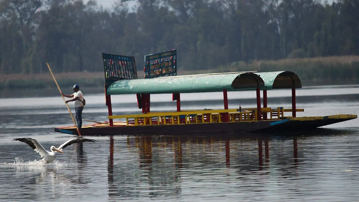 1058990_Vida cotidiana Embarcadero Cuemanco_web