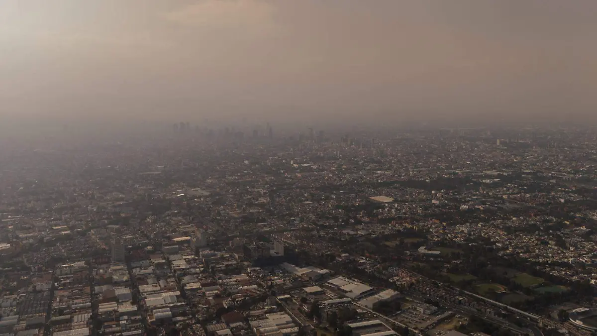 WhatsApp Image 2026-02-16 at 17.32.25