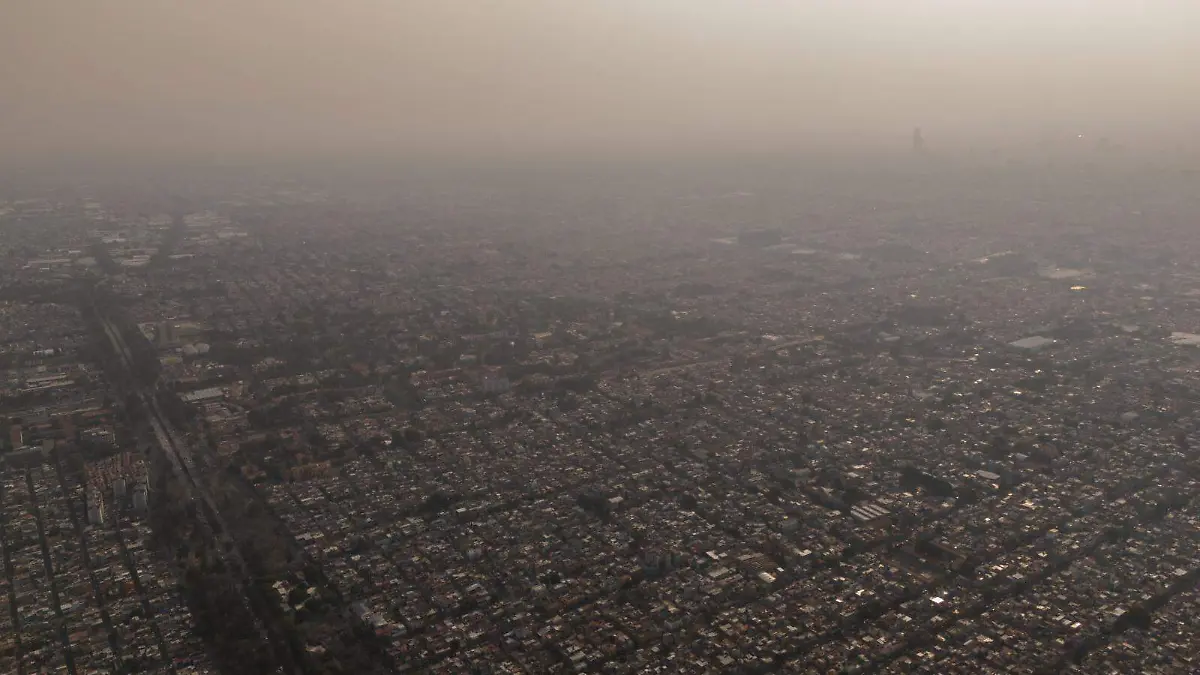 WhatsApp Image 2026-02-16 at 5.32.25 PM (1)