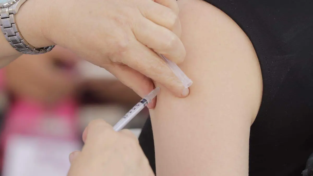 WhatsApp Image 2026-02-11 at 2.40.59 PM