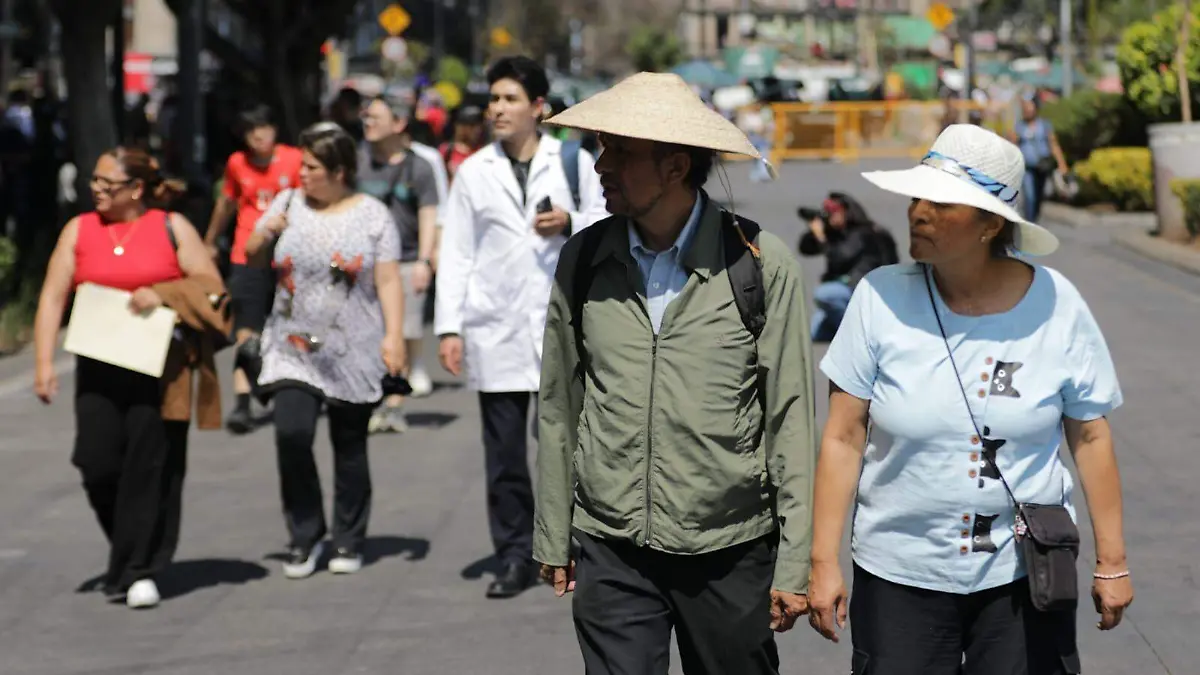 WhatsApp Image 2026-02-18 at 2.07.16 PM