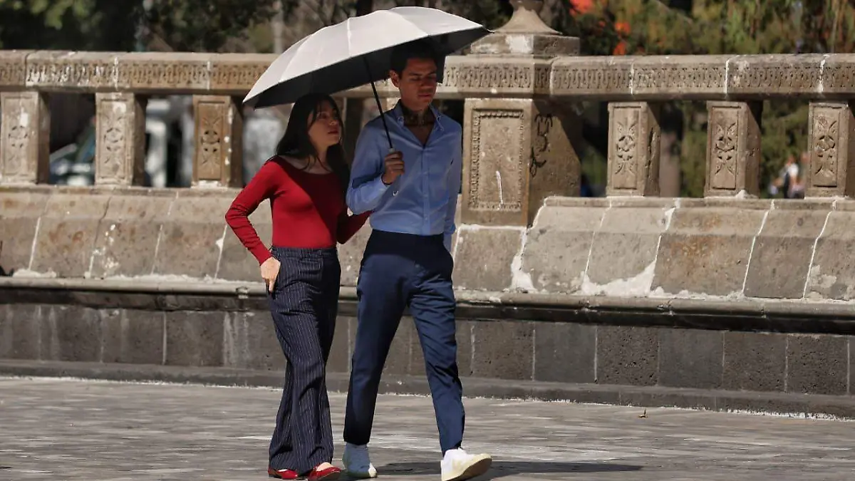 WhatsApp Image 2026-02-18 at 3.05.54 PM