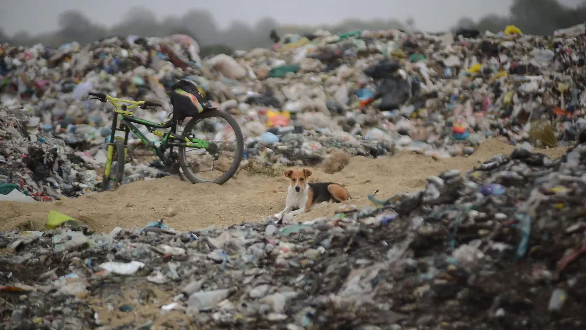 695665_Basurero Clandestino Maguellitos_impreso