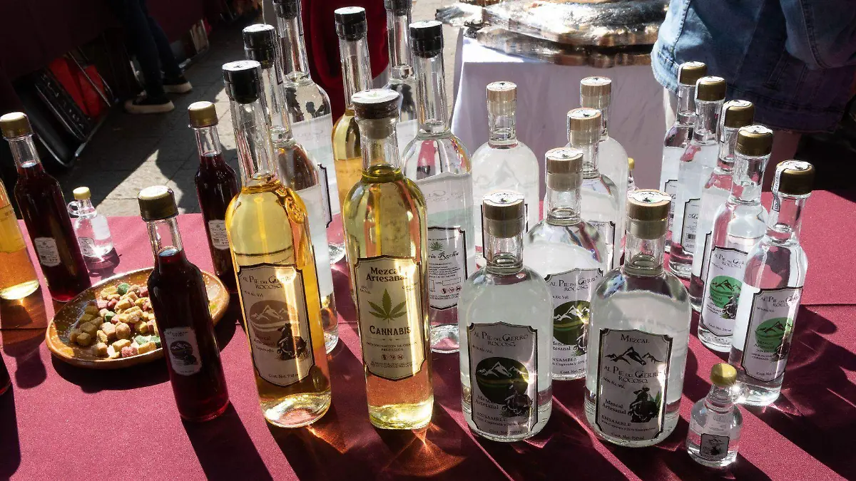 1060059_Productores de Michoacán_web