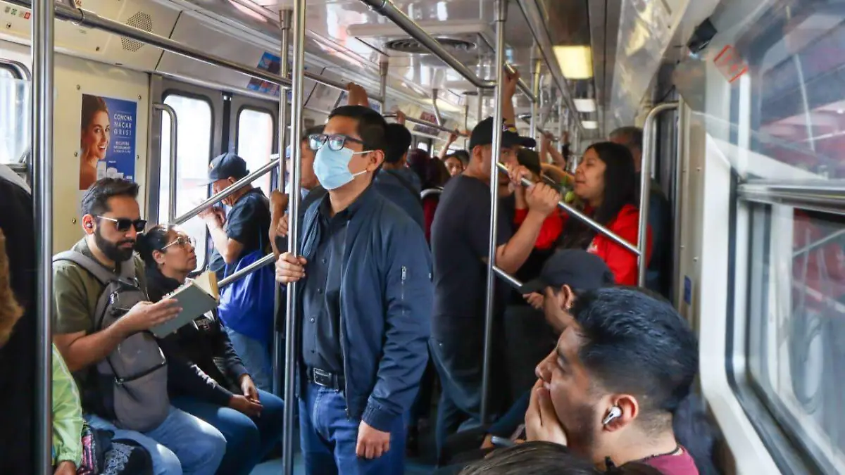 WhatsApp Image 2026-02-19 at 6.20.47 PM