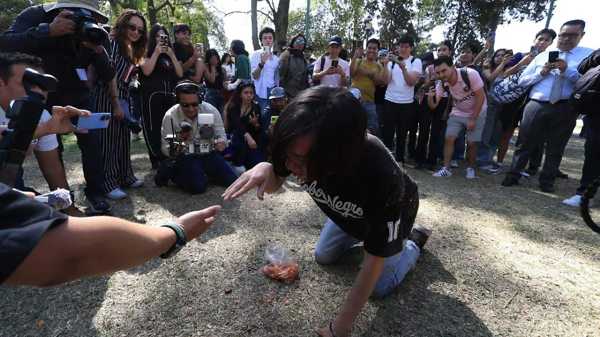 WhatsApp Image 2026-02-20 at 4.20.22 PM